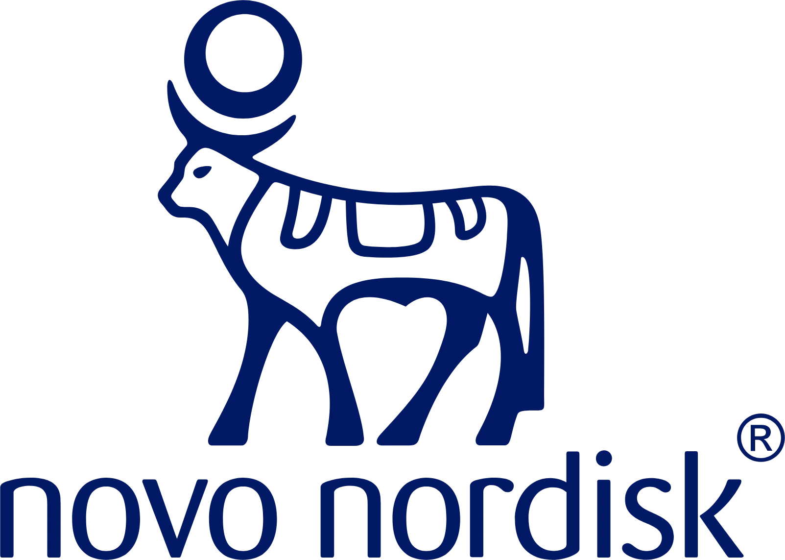 Novo - partner logo